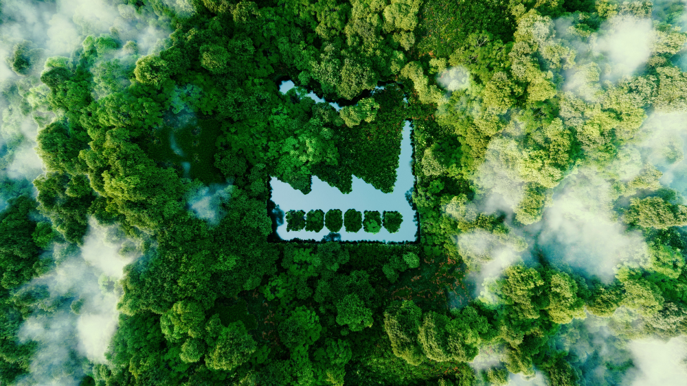 a silhouette of a factory carved out in between trees in a dense forest