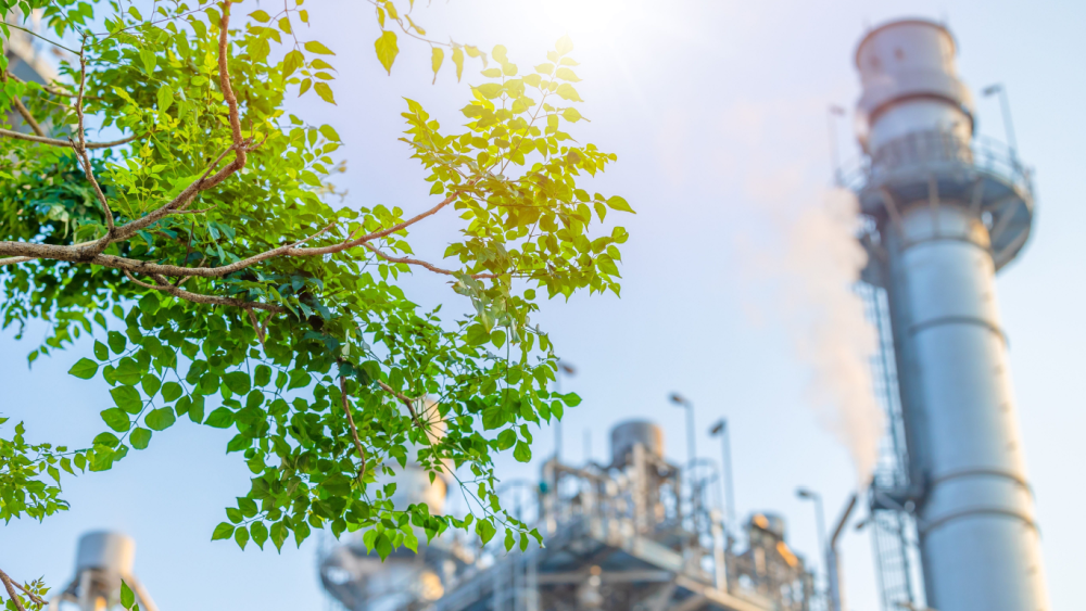 A green tree with a factory in the background